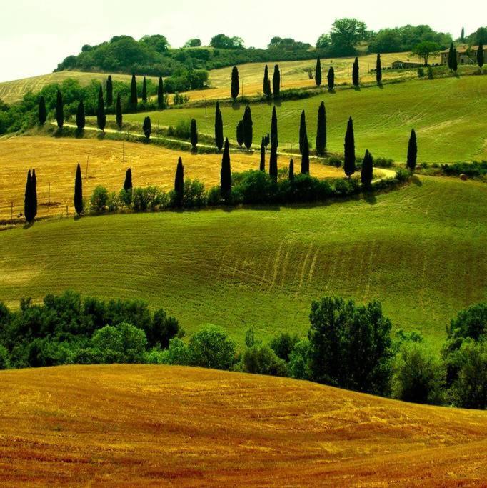 Appartamento Panoramico Montepulciano Stazione المظهر الخارجي الصورة