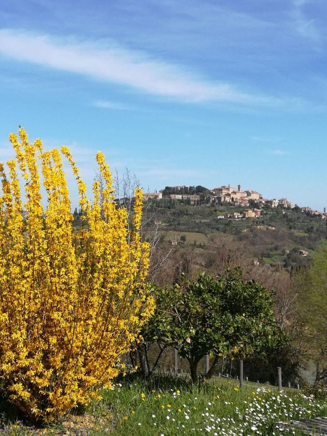 Appartamento Panoramico Montepulciano Stazione المظهر الخارجي الصورة