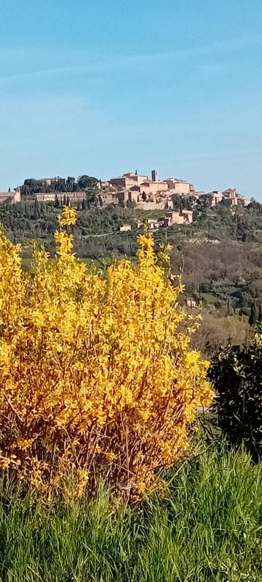 Appartamento Panoramico Montepulciano Stazione المظهر الخارجي الصورة