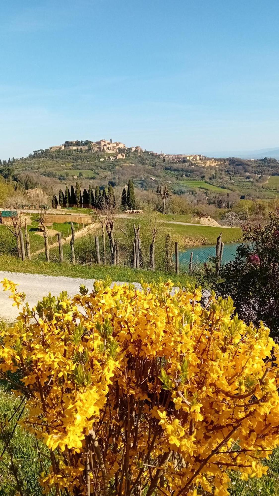 Appartamento Panoramico Montepulciano Stazione المظهر الخارجي الصورة